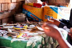 20110221-IMG_2628 - Copie.jpg